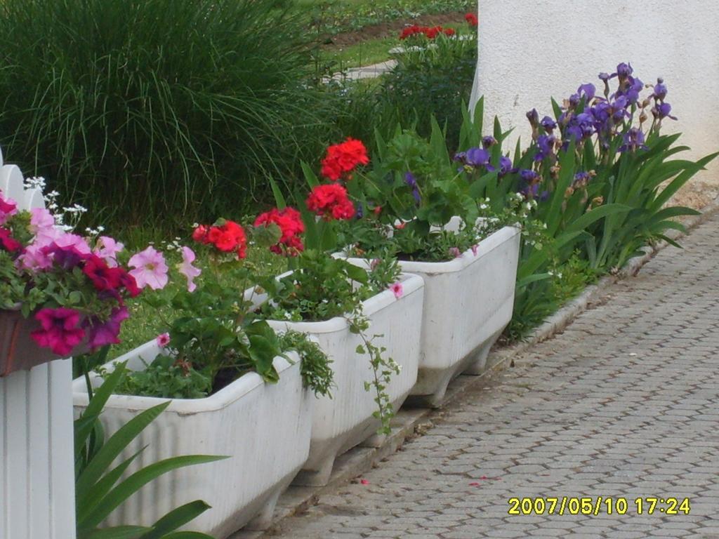 Apartmani Anna Sveti Martin Na Muri Exterior photo